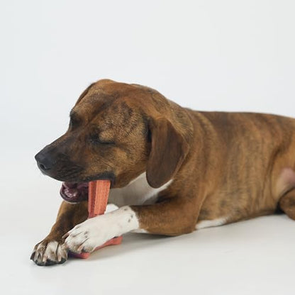 SPOT Bam-Bones Plus Coffee Wood T-Bone Dog Chew Toy, Beef Flavor, Nylon and Coffee Wood Fiber Blend, Durable Chew for Heavy Chewers and Dogs Under 60 lbs, Non-Splintering Dental Chew, 6 Inch - size: 6 Inch (Pack of 1)