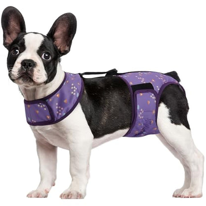Kuoser Dog Diapers Female with Suspenders, Escape-Proof Doggie Diaper That Stay On, Washable Dog Diapers for Heat, Incontinence & Puppy Training,Reusable Puppy Diaper Female Small Medium Large Dogs, S - color: Lavender Purple, size: S