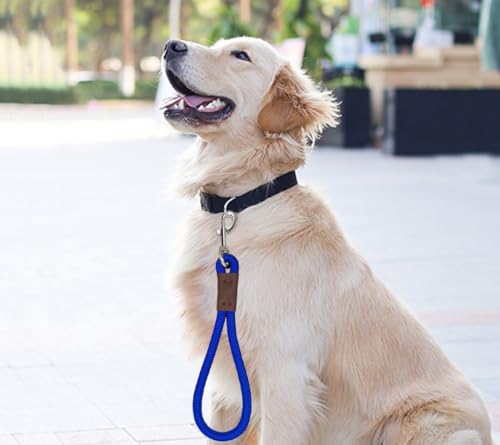 Short 12 Inch Dog Leash, 1/2" Nylon Rope Traffic Handle Lead | Strong Dog Tab Training Leash for Medium/Large/Ex-Large Dogs Outdoor Walking ( Blue ) - color: Blue