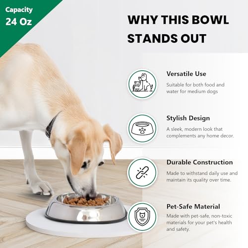 Iconic Pet 3 Cup/24 Oz Heavy Weight Non-Skid Stainless Steel High Back Pet Food/Water Bowls with Removable Anti Skid Rubber Ring - Dog/Cat Feeding Bowl in Unique Design, Dishwasher Safe - size: 3 Cup/24 oz.