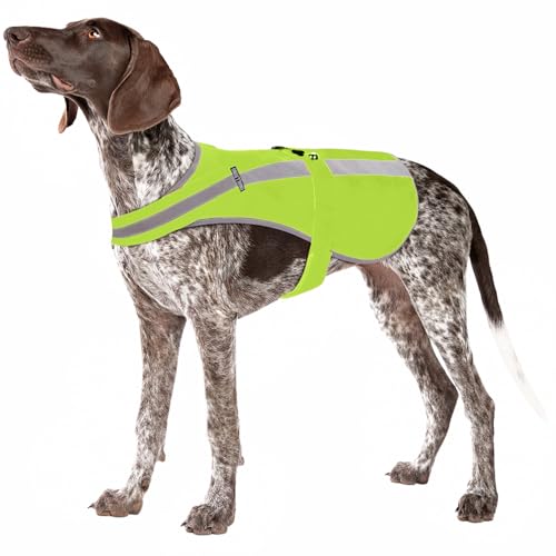 Reflective Dog Vest for Medium and Large Breeds, High Visibility Dog Safety Vest with Removable Bell Keep Safe from Hunting, Training & Cars Accidents - color: Neon Green, size: M