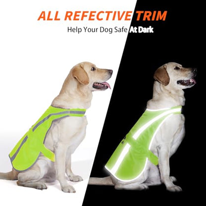 Reflective Dog Vest for Medium and Large Breeds, High Visibility Dog Safety Vest with Removable Bell Keep Safe from Hunting, Training & Cars Accidents - color: Neon Green, size: M