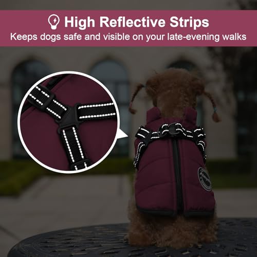 Dog Winter Coat, Warm Dog Jacket Reflective Adjustable Fleece Vest with Harness Built in, Windproof Pet Snow Jacket Snowsuit with Zipper for Small Medium Dogs, Purple XS - color: Purple, size: X-Small