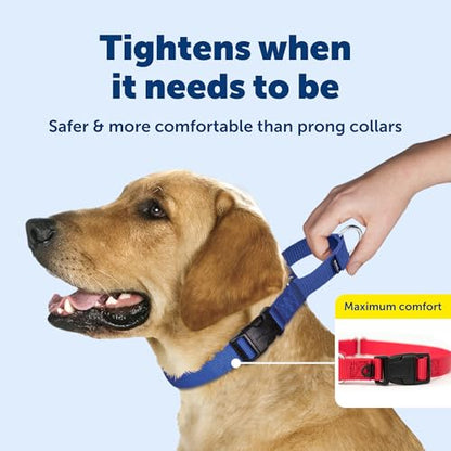 PetSafe Martingale Dog Collar with Quick-Snap Buckle - Small, 3/4 Inch, Black