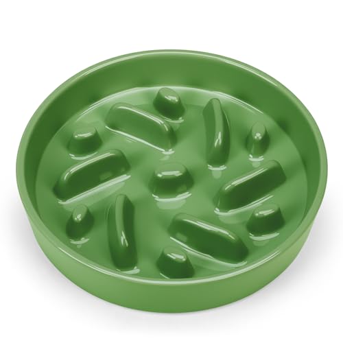 Ceramic Slow Feeder Dog Bowl, 2 Cups Dog Food Bowls for Small, Medium, and Large Breed, Anti-Slip Puzzle Food Dish to Slow Down Eating (Green, 2 Cups) - color: Maze - Green