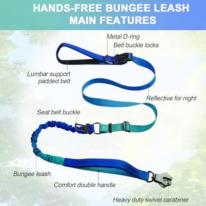 Heavy Duty Hands Free Dog Leash with Quick Release Carabiner and Adjustable No Pull Bungee Dog Running Waist Leash，for Walking and Training with Car Seat Belt 4-6FT (Aquamarine) - color: Aquamarine