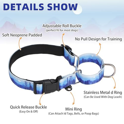 KOOLTAIL Martingale Collar for Dogs for Small Medium Large Dogs, Soft Padded Nylon No Pull Dog Collar with Buckle, Adjustable No Slip Heavy Duty Durable Puppy Training Collar for Boys Girls, Blue M