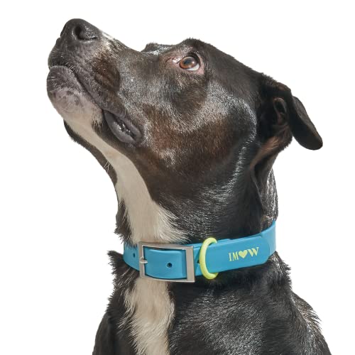 Wild One Dog Collar, Easy-Clean, All Weather Flex-Poly Strap with Metal, Durable, Dirt and Odor Resistant (Hudson, XL) - color: Hudson, size: XL