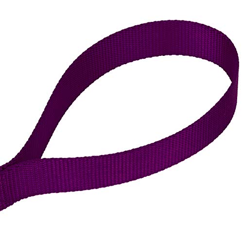 Country Brook Petz - Vibrant 17 Color Selection - Heavyduty Doublehandle Nylon Leash (6 Foot, 3/4 Inch Wide, Purple) - color: Purple