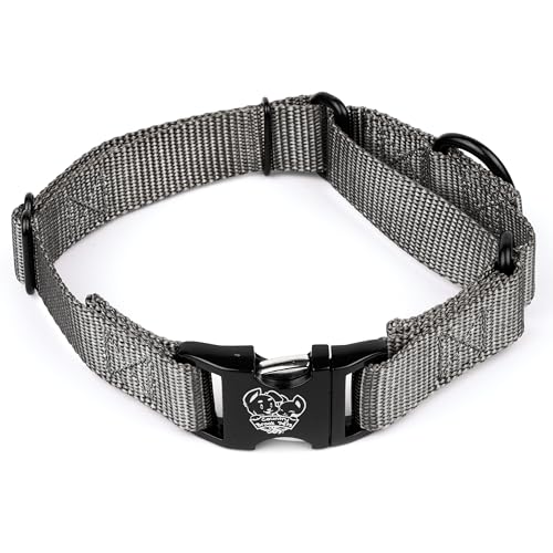 Country Brook Petz - Martingale Dog Collar - Heavy Duty Nylon Adjustable Martingale Dog Collar with Premium Buckle for Small Medium Large Breeds (5/8 Inch, Extra Small, Charcoal) - color: Charcoal, size: Extra Small (Pack of 1)