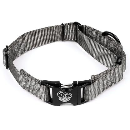 Country Brook Petz - Martingale Dog Collar - Heavy Duty Nylon Adjustable Martingale Dog Collar with Premium Buckle for Small Medium Large Breeds (1 Inch, Extra Large, Charcoal) - color: Charcoal, size: Extra Large (Pack of 1)