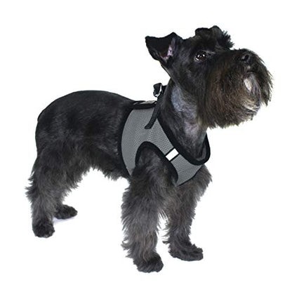 Dogline Boston Step in Mesh Dog Harness with Service Dog Patch No Choke Pet Vest Soft Gentle Padded Chest Halter for Puppies Small Medium and Large Dogs 14 to 16 inches Girth Grey - color: Grey, size: Girth 14 to 16"