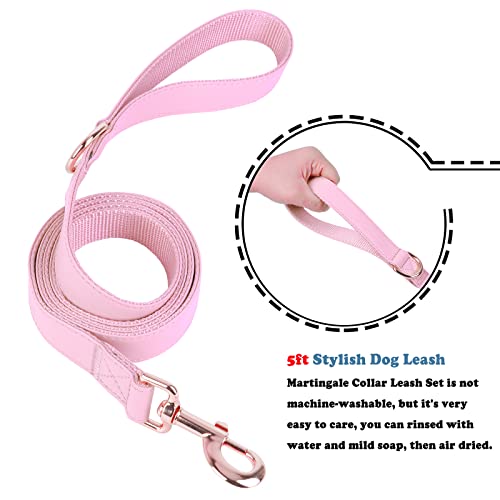 Soft Leather Martingale Dog Collar - Adjustable Rose Gold Limited Slip Collars [Easy to Clean], Stylish Durable Heavy Duty Nylon No Pull Training Collar for Small Medium Large Dogs (S, Set Pink) - color: Set Pink, size: S (Neck 10"-15", Width 4/5")