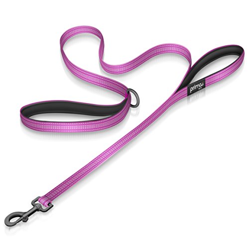 Reflective Nylon Dog Leash with Padded Double Handles, Heavy Duty Neoprene Handle for Control, Safety Training & Traffic, Extra Small - Small (5/8" Width, Purple) - color: PURPLE, size: SMALL 5/8" Width x 4 Feet