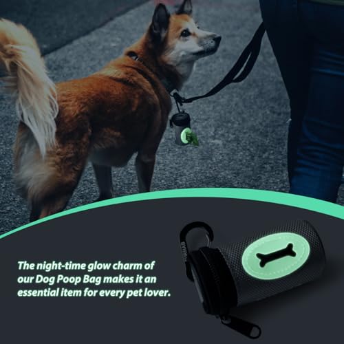 FURHAB Glow Dog Poop Bag Holder for Leash Doggie Waste Bag Dispenser Puppy Potty Carrier Small Doggy Zipper Pouch with Carabiner Clip 1680D Nylon Oxford with 1 Roll of Pet Trash Bags, Silver - color: Silver