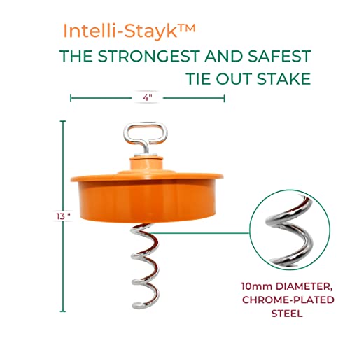 IntelliLeash Intelli-Stayk: Tailored for Soft Soils – Specialized Tie Out Stake for Dogs
