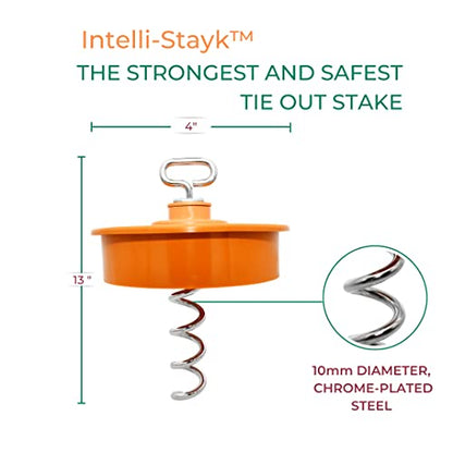 IntelliLeash Intelli-Stayk: Tailored for Soft Soils – Specialized Tie Out Stake for Dogs