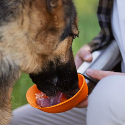 Messy Mutts Double Wall Vacuum Insulated Stainless Steel Travel Water Bottle with Silicone Flip Up Bowl | Pet Travel Necessity | Camping, Hiking, Walking Accessory | 20 oz / 600mL | Orange