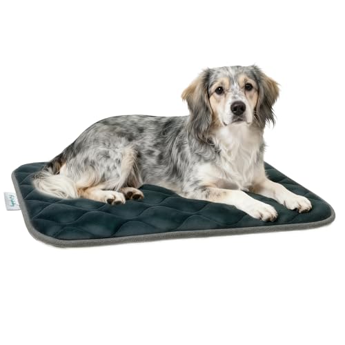 furrybaby Dog Bed Mat Flat Crate Mat with Anti-Slip Bottom Machine Washable Pet Kennel Pad for Dog Sleeping (M 30x19'', Grey Mat) - size: 30.0"L x 19.0"W x 0.7"Th