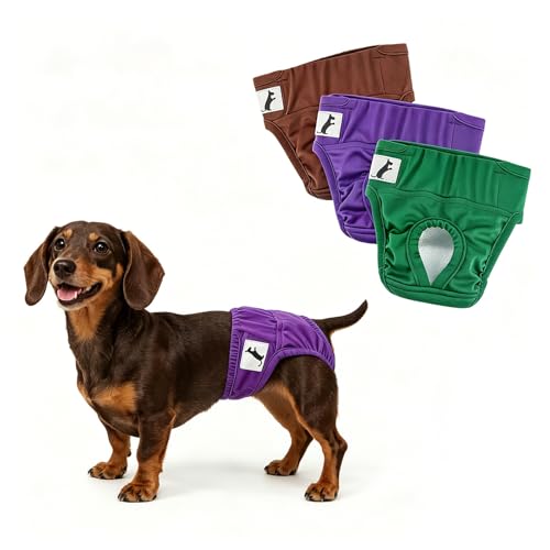 Small Female Dog Diapers, 3 Pack Washable Dog Period Panties for Small Dogs, Reusable Doggy Nappies, Pet Sanitary Underwear in Heat/Incontinence, Waist Adjustable, M - size: M