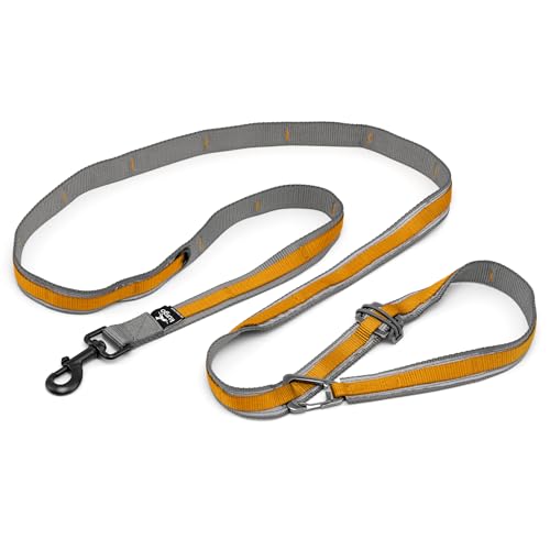 Kurgo 6 in 1 Quantum Leash, Hands Free Leash for Dogs, Running Belt Lead, Crossbody & Waist Belt Style, Reflective, Carabiner Clip, for Training, Hiking, or Jogging, 4 Colors