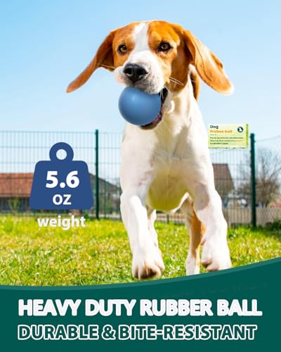 SCHITEC Dog Balls Indestructible, [2 Pack] Solid Rubber Bouncy Fetch Ball for Aggressive Chewers, Durable Chew Toy for Medium Large Dogs