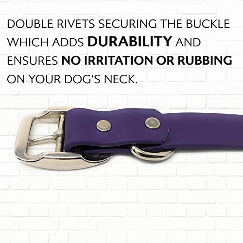 Regal Dog Products Small Purple Dog Collar with Heavy Duty Double Buckle & D Ring | Vinyl Coated, Custom Fit, Adjustable Biothane Dog Collar | Chew Resistant Waterproof Center-Ring Collar for Dogs - color: Purple, size: Small