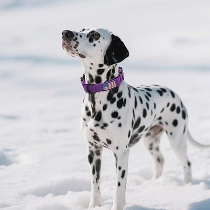 Martingale Dog Collar Quick Release Buckle No Pull Reflective Non-Slip for Medium Large Dogs Training (Purple, Large) - color: Purple, size: Large (Pack of 1)