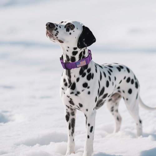 Martingale Dog Collar Quick Release Buckle No Pull Reflective Non-Slip for Medium Large Dogs Training (Purple, Medium) - color: Purple, size: Medium (Pack of 1)