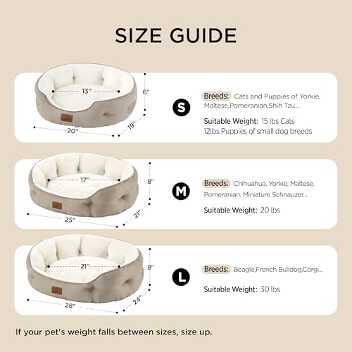 Bedsure Dog Beds for Small Dogs - Round Cat Beds for Indoor Cats, Washable Pet Bed for Puppy and Kitten with Slip-Resistant Bottom, 25 Inches, Misty Lilac | Azure Lilac Soft plush pet bed,dog beds for small dogs for puppy and kittens,Anti-Slip bottom,easy
