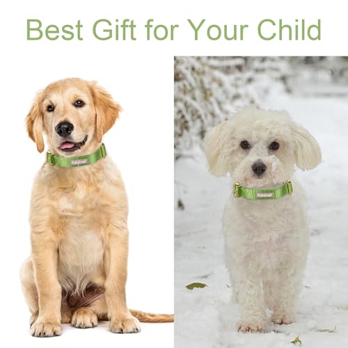Nylon Dog Collar - Adjustable Green Soft Webbing Dog Collars for Small Medium Large Dogs Boy Girl Puppy Collar with Safety Metal Buckle XS - color: Nylon-Green, size: XS