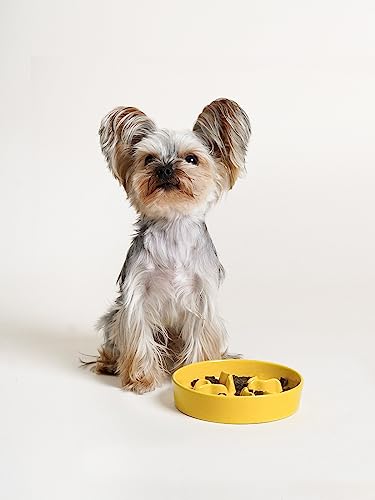 LE TAUCI PET Ceramic Slow Feeder Dog Bowls Small Breed, 0.5 Cups Dog Food Dish for Fast Eaters, Puzzle Bowl for Small Dogs and Cats, 5.5 Inch-Yellow - color: Yellow