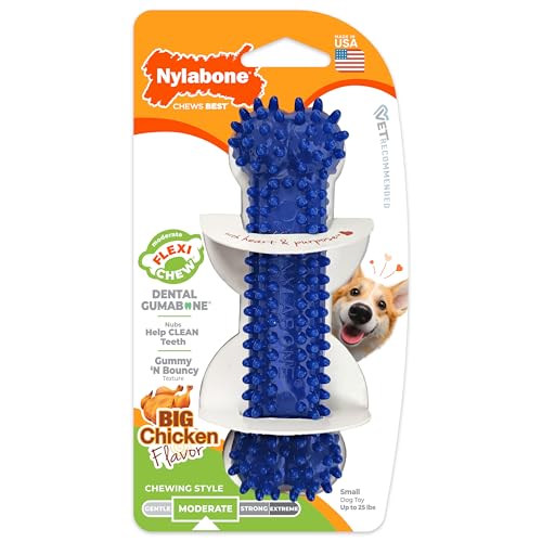 Nylabone Textured Dental Bone Flexi Chew Toy for Dogs, Dog Toys for Moderate Chewers, Chicken Flavor, Small - Up to 25 Ibs, 1 Count - size: Small