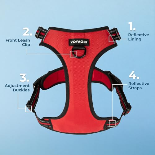 Voyager Dog Harness Dual Leash Attachment No-Pull Control Adjustable Soft but Strong Pet Harness for Medium and Large Dogs with 3M Reflective Technology, Red Lattice Nylon, XL (Chest: 28-37") - color: Red Lattice Nylon, size: XL (Chest: 28 - 37")