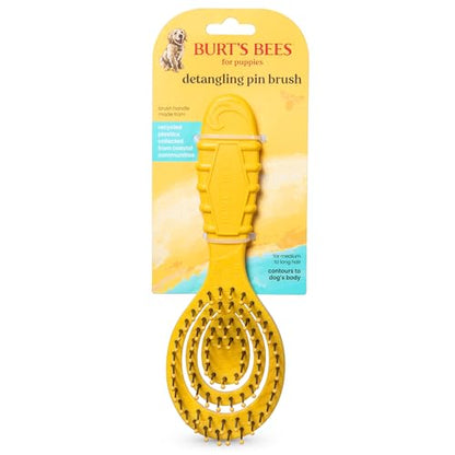 Burt's Bees for Pets Detangling Pin Brush for Puppies and Small Dogs | Handle Made from Recycled Plastics Collected from Coastal Communities | Dog Brush Removes Tangles and Loosens Light Matting