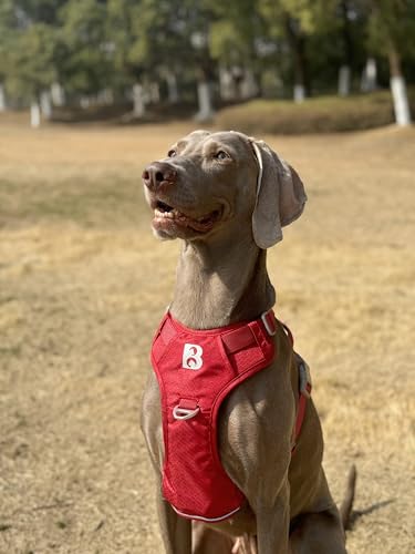 No Pull Front Clip Dog Harness, Heavy Duty 360° Reflective Dog Vest with Dual Zinc Alloy D-Rings, Soft Padded Harness with Control Handle for Small Medium Large Dogs (Red, M) - color: Red, size: M