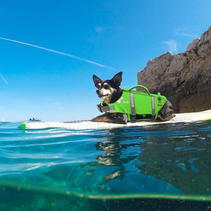 EMUST Dog Life Vests, Adjustable XS Dog Life Jacket with Rescue Handle, Puppy Flotation Vest for Small/Medium/Large Dogs, XS, NewGreen - color: NewGreen, size: XS