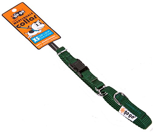 GOGO Pet Products 3/8-Inch Martingale Dog Collar, X-Small, Hunter Green - color: Hunter Green, size: Xsmall (3/8" web width)