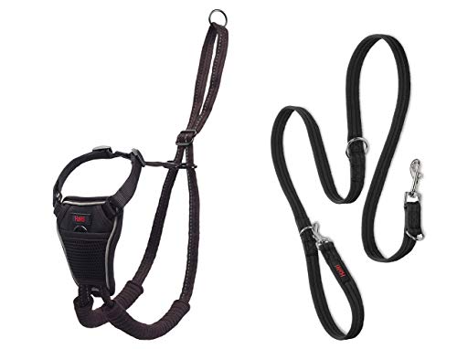 Halti No Pull Harness & Halti Training Leash Size Large, Black Combination Pack - Stop Your Dog Pulling on The Leash. Adjustable, Lightweight and Easy to Use. Suitable for Large Dogs - size: Large