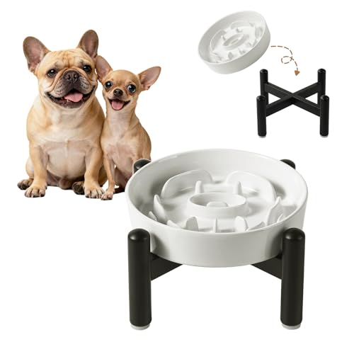 Elevated Slow Feeder Dog Bowl, 0.8 Cups Ceramic Raised Slow Feeder with Stainless Stand, 6.3 Inch Wide Lifted Dog Bowl for Small Breeds to Control Eating Speed, White - color: White, size: Small with Stand
