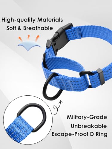 Martingale Dog Collar, Reflective No Pull Training Collar with Quick Release Buckle, Adjustable Heavy Duty Nylon Choker Collars for S M L Dogs (Blue, L (1" x 19"-26")) - color: Blue, size: L (1" x 19"-26")