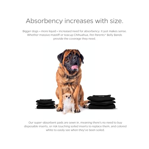 Pet Parents® Washable Belly Bands for Male Dogs (3pack) + Extendrs® of Durable Dog Diapers Male, Premium Male Dog Diapers & Dog Wraps (Medium, Black) - color: Black, size: Medium (16-20")