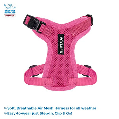 Best Pet Supplies Voyager Step-in Lock Pet Harness w Reflective Pet Leash Combo Set with Neoprene Handle 5ft - Supports Small, Medium and Large Breed Puppies/Cats - Fuchsia, XXS - color: Harness Leash Set (Fuchsia), size: XXS (Chest: 11.5 - 14")
