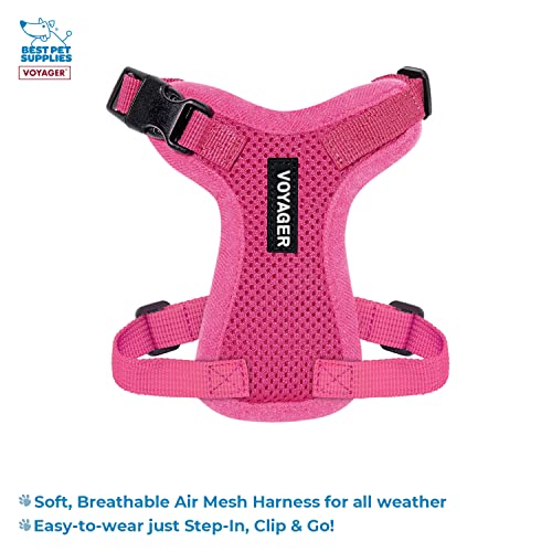 Best Pet Supplies Voyager Step-in Lock Pet Harness w Reflective Pet Leash Combo Set with Neoprene Handle 5ft - Supports Small, Medium and Large Breed Puppies/Cats - Fuchsia Set, XXXS - color: Harness Leash Set (Fuchsia), size: XXXS (Chest: 10.5 - 13")