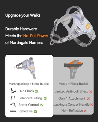 DF No Pull Step-in Martingale Dog Harness, Help Stop Pulling & Choking, Reflective & Adjustable, Front Clip Harness with Lift Handle, Tactical Silent Metal Buckle, Gray, 1", Front Chest 14.4"-18.0"
