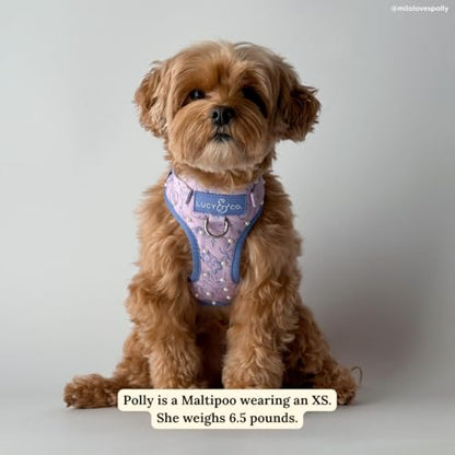 Lucy & Co. Magnificent Mermaids Pearl No-Pull Dog Harness, Adjustable Front Clip Harness with Comfort Padding, X-Large - color: Magnificent Mermaid, size: X-Large