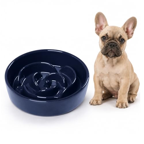 Slow Feeder Dog Bowls, Ceramic Slow Feeding Bowl for Small and Medium Breed, Anti Choking Puzzle Dog Food Bowl with Non-Slip Base for Fast Eater (Blue, S-0.6CUP) - color: Blue