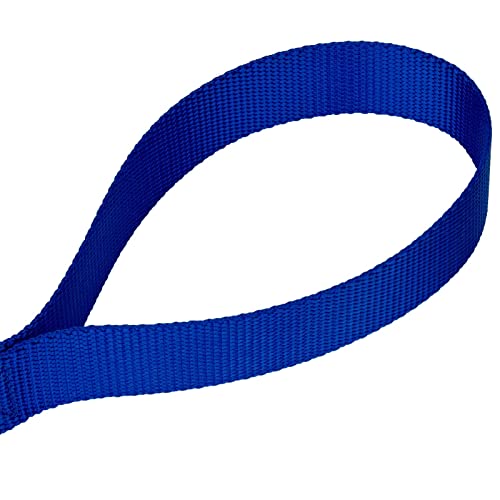 Country Brook Petz - Vibrant 17 Color Selection - Heavyduty Doublehandle Nylon Leash (6 Foot, 3/4 Inch Wide, Royal Blue) - color: Royal Blue