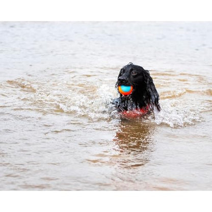ChuckIt! Amphibious Fetch Balls, Set of 3, Medium - size: Medium