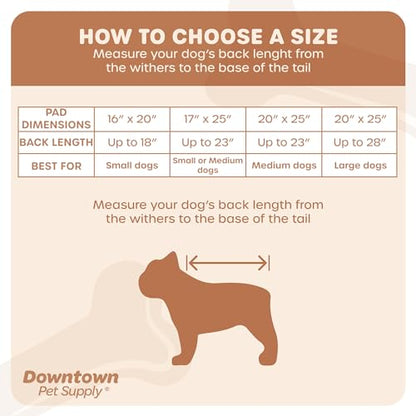 Downtown Pet Supply Dog Grass Pad with Tray, 20 x 30 - Outdoor and Indoor Potty System for Dogs with Replaceable Synthetic Grass Pee Turf - Portable and Waterproof Turf Dog Potty - size: 20" x 30"